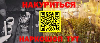 стаф Тула